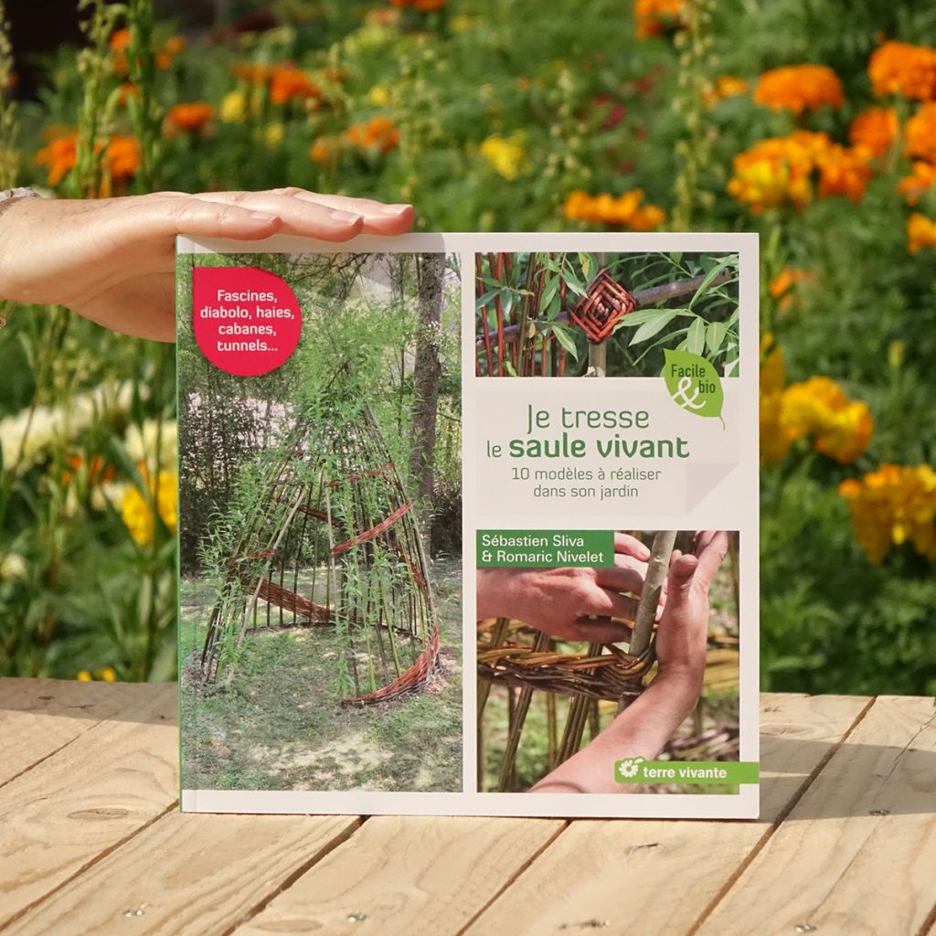 Je tresse le saule vivant