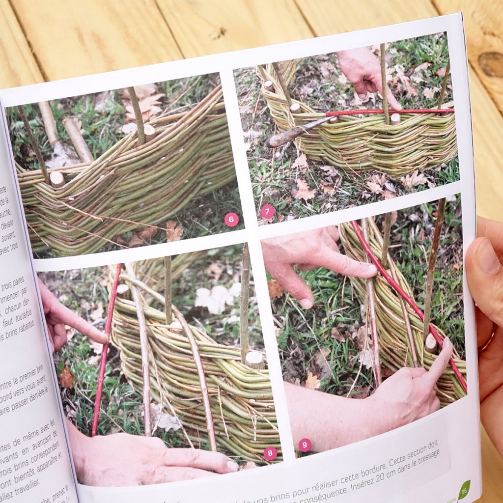 Je tresse le saule vivant