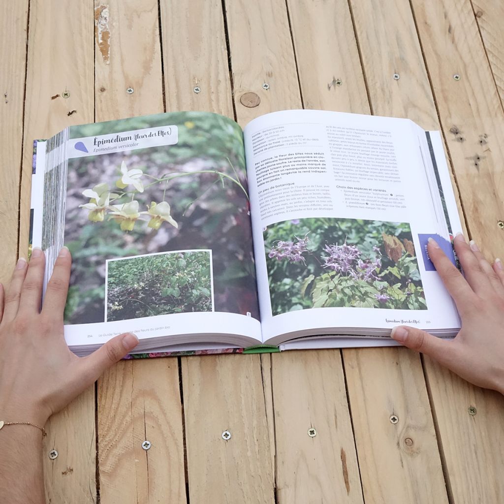Le Guide Terre vivante des fleurs au jardin bio