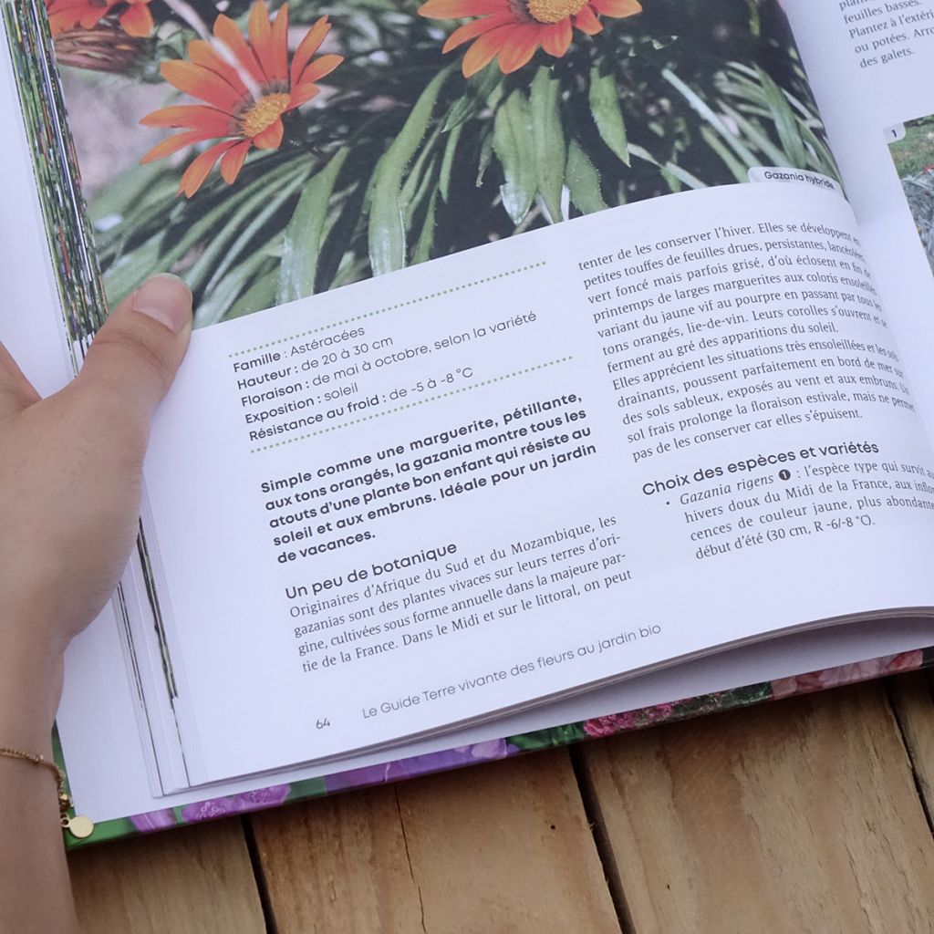 Le Guide Terre vivante des fleurs au jardin bio