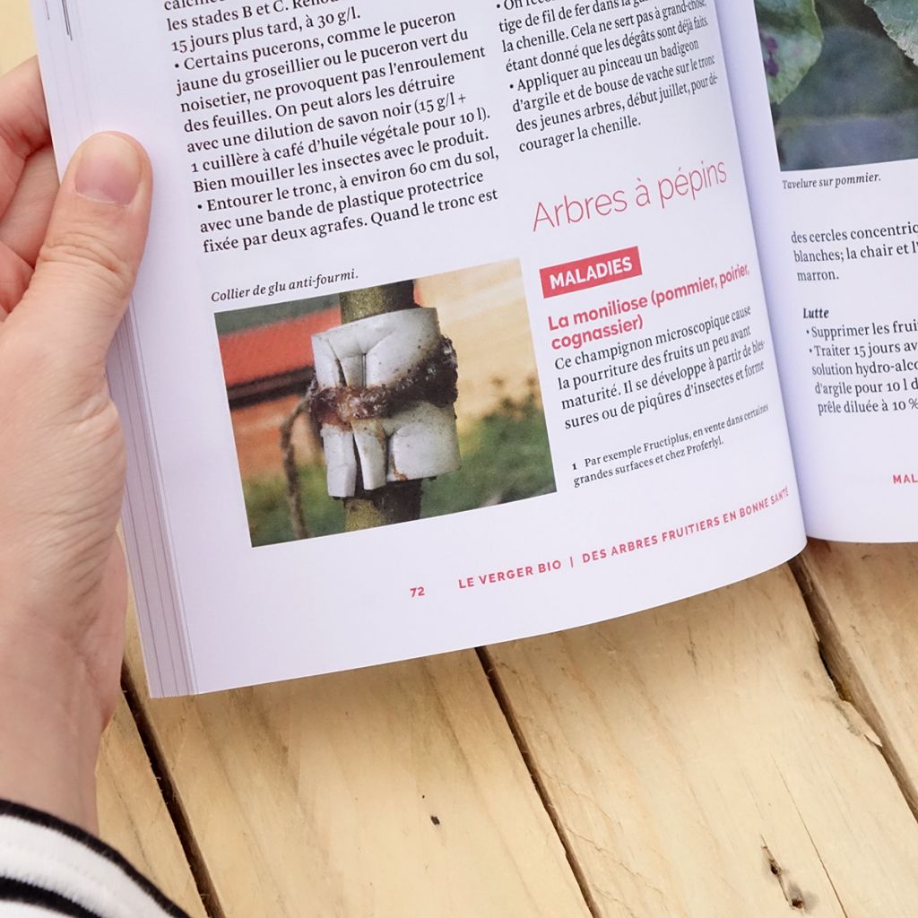 Le verger bio
