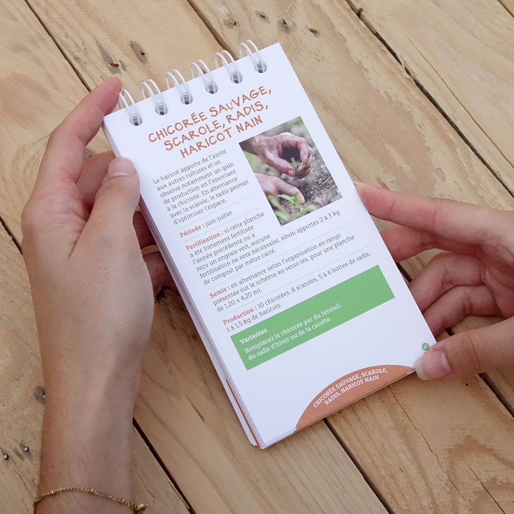 Les antisèches de Terre vivante : Associations au potager