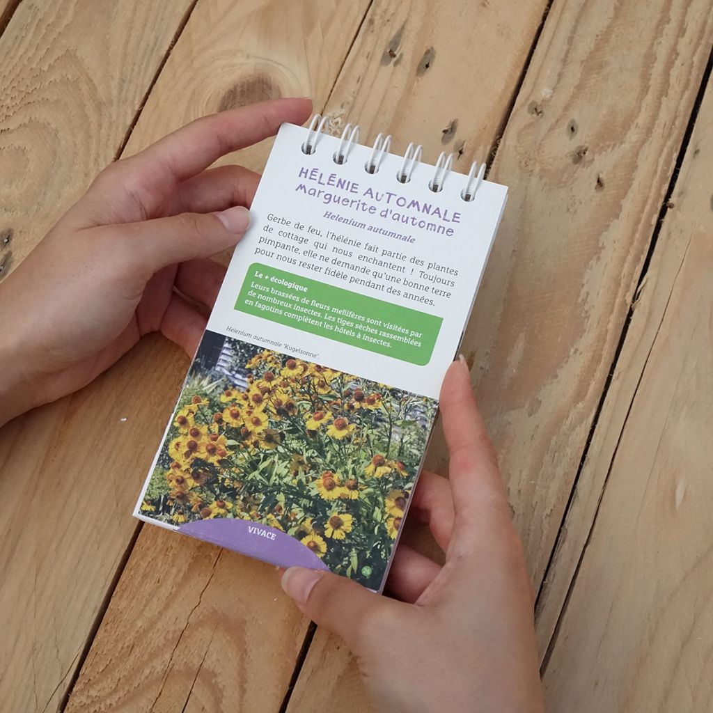 Les antisèches de Terre vivante : Fleurs d'automne et d'hiver