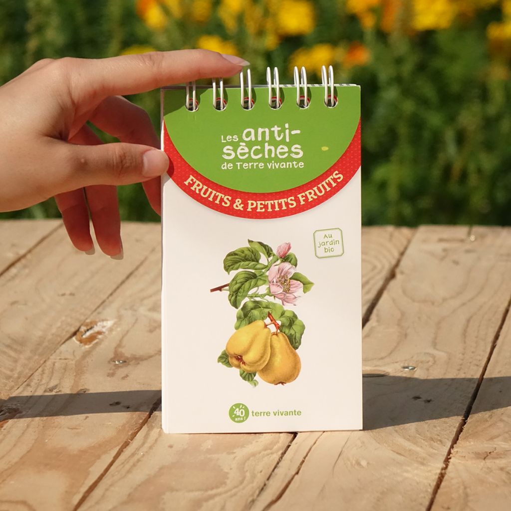 Les antisèches de Terre vivante : Fruits & petits fruits