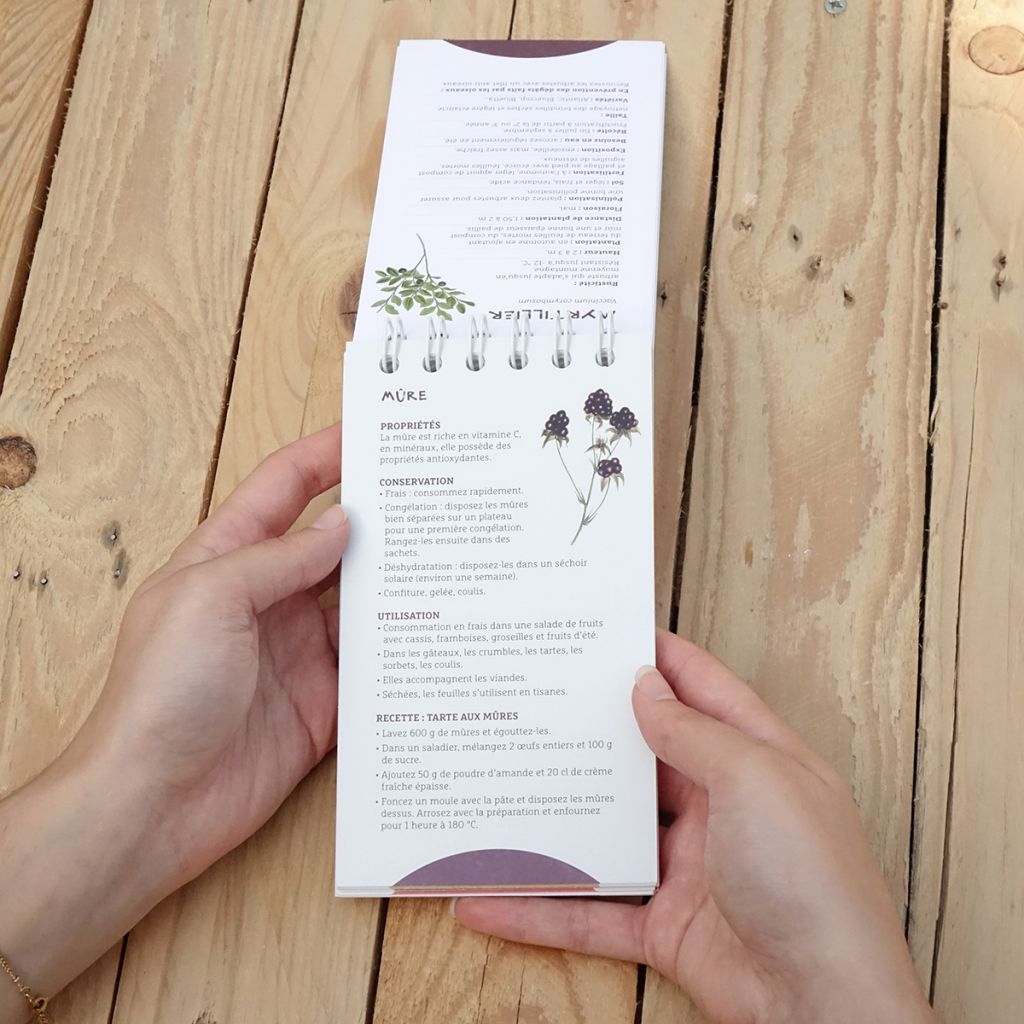 Les antisèches de Terre vivante : Fruits & petits fruits