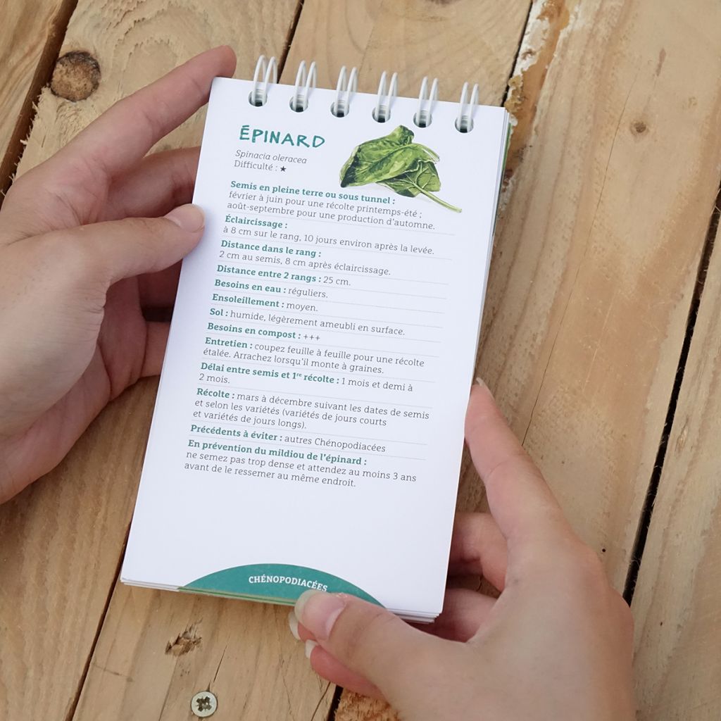 Les antisèches de Terre vivante : Légumes