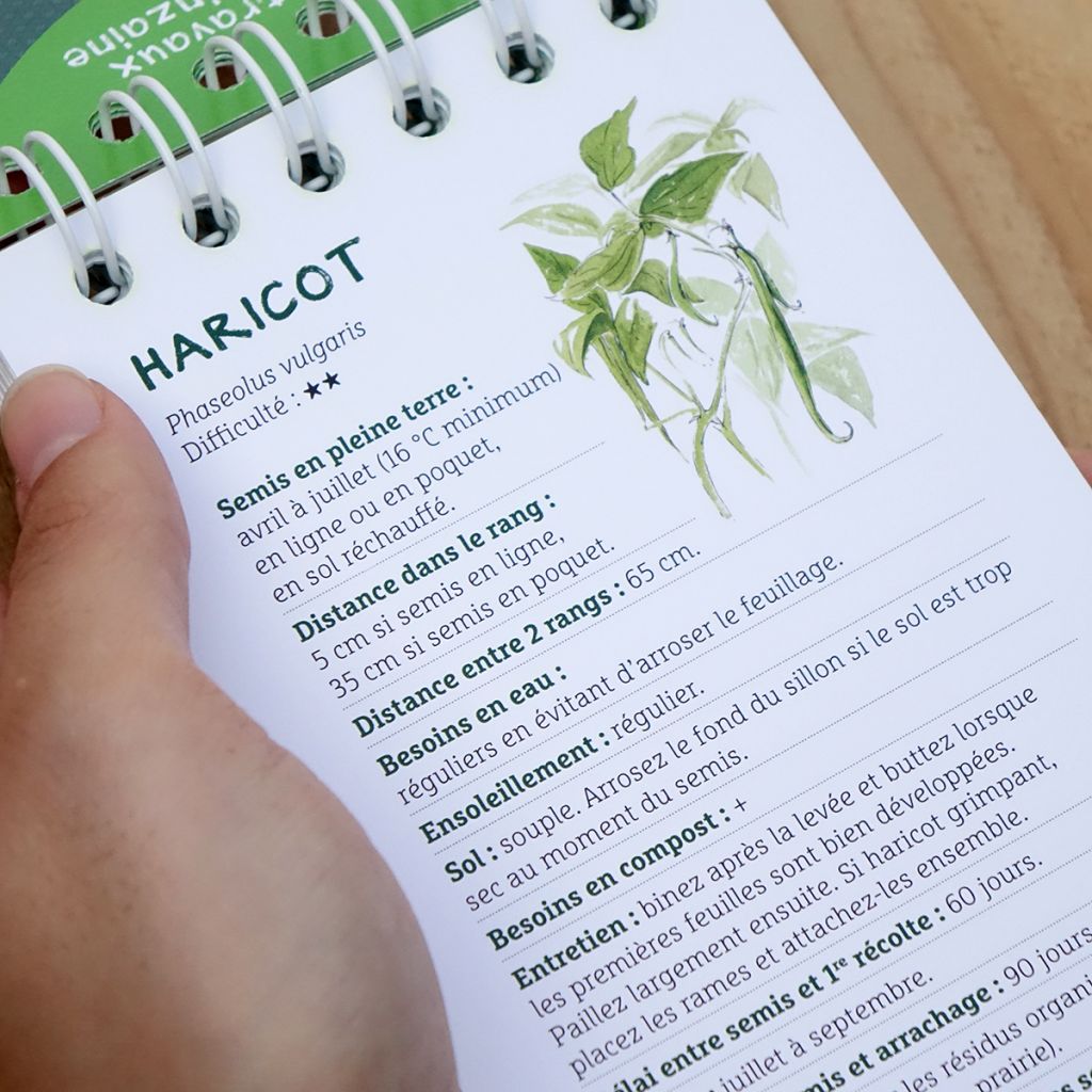 Les antisèches de Terre vivante : Légumes