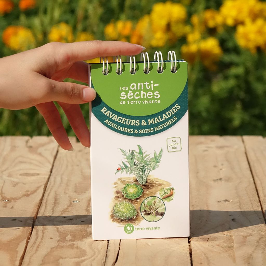 Les antisèches de Terre vivante : Ravageurs & maladies