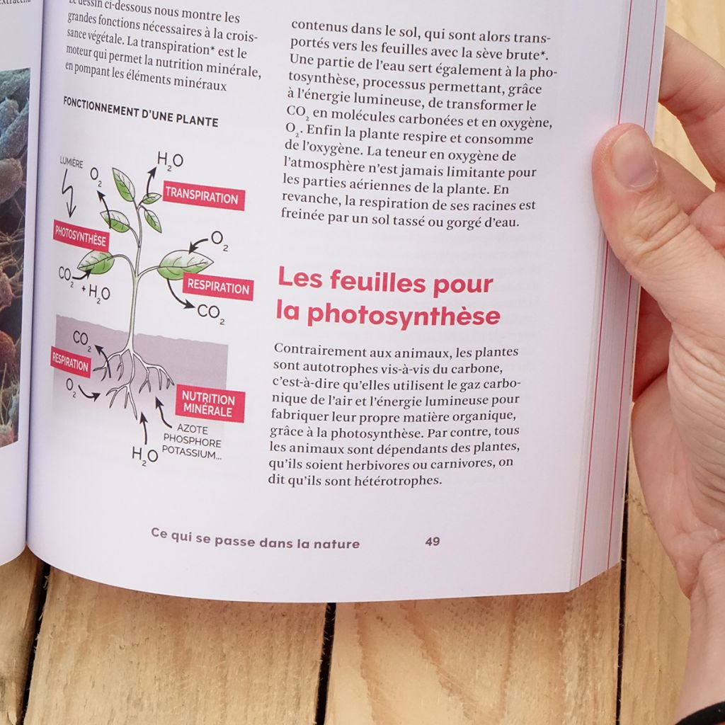 Les clés d'un sol vivant