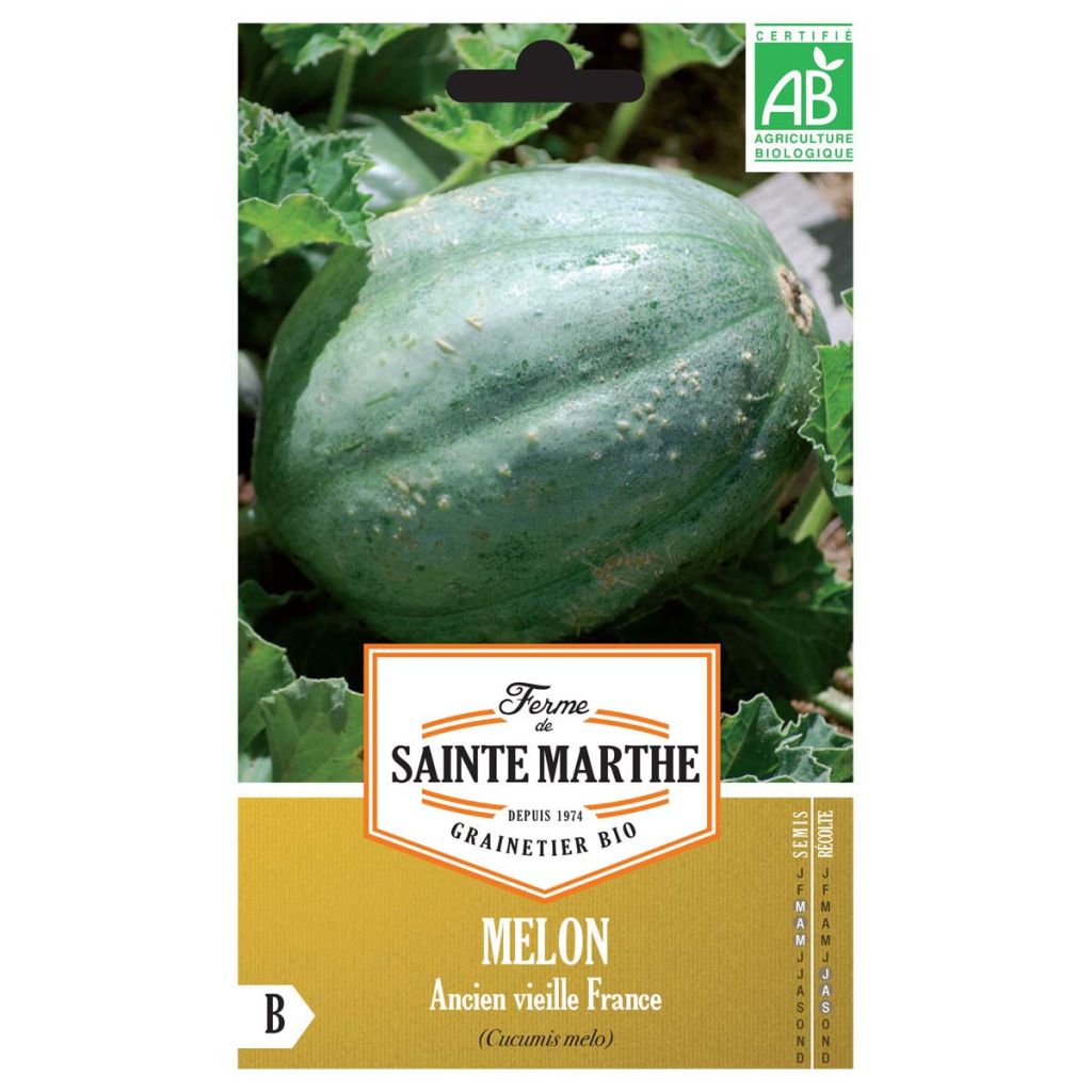 Melone Antico Vieille France Bio - Ferme de Sainte Marthe