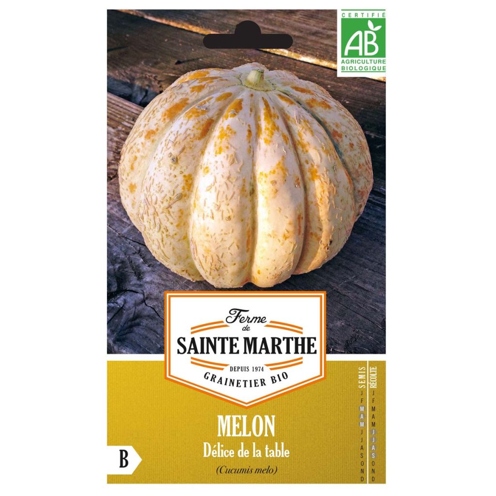 Melone Delice de la Table Bio - Ferme de Sainte Marthe