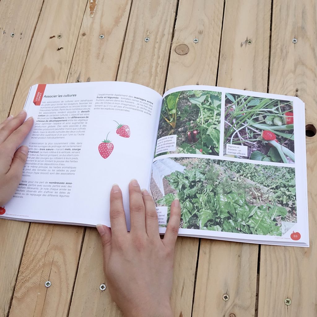 Mon petit jardin en permaculture