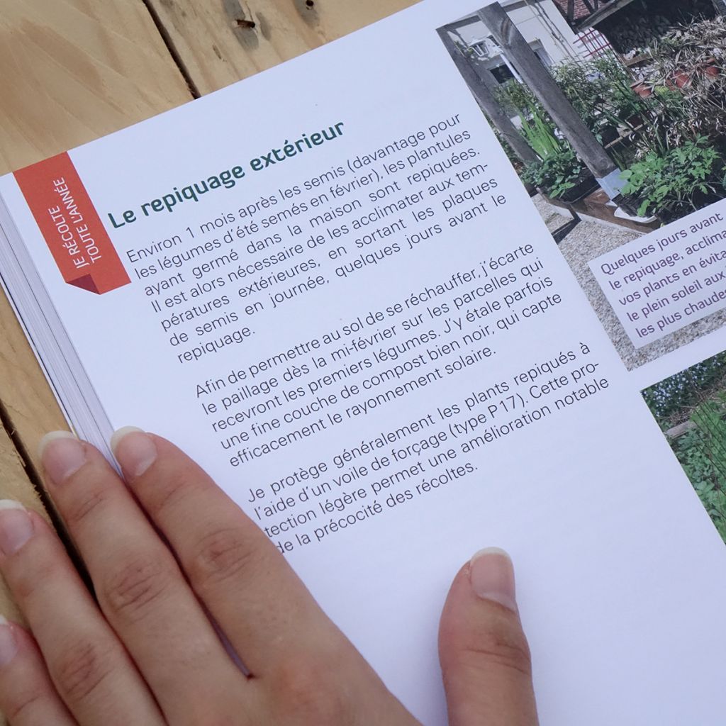 Mon petit jardin en permaculture