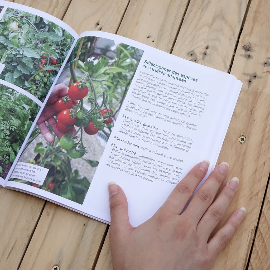 Mon petit jardin en permaculture