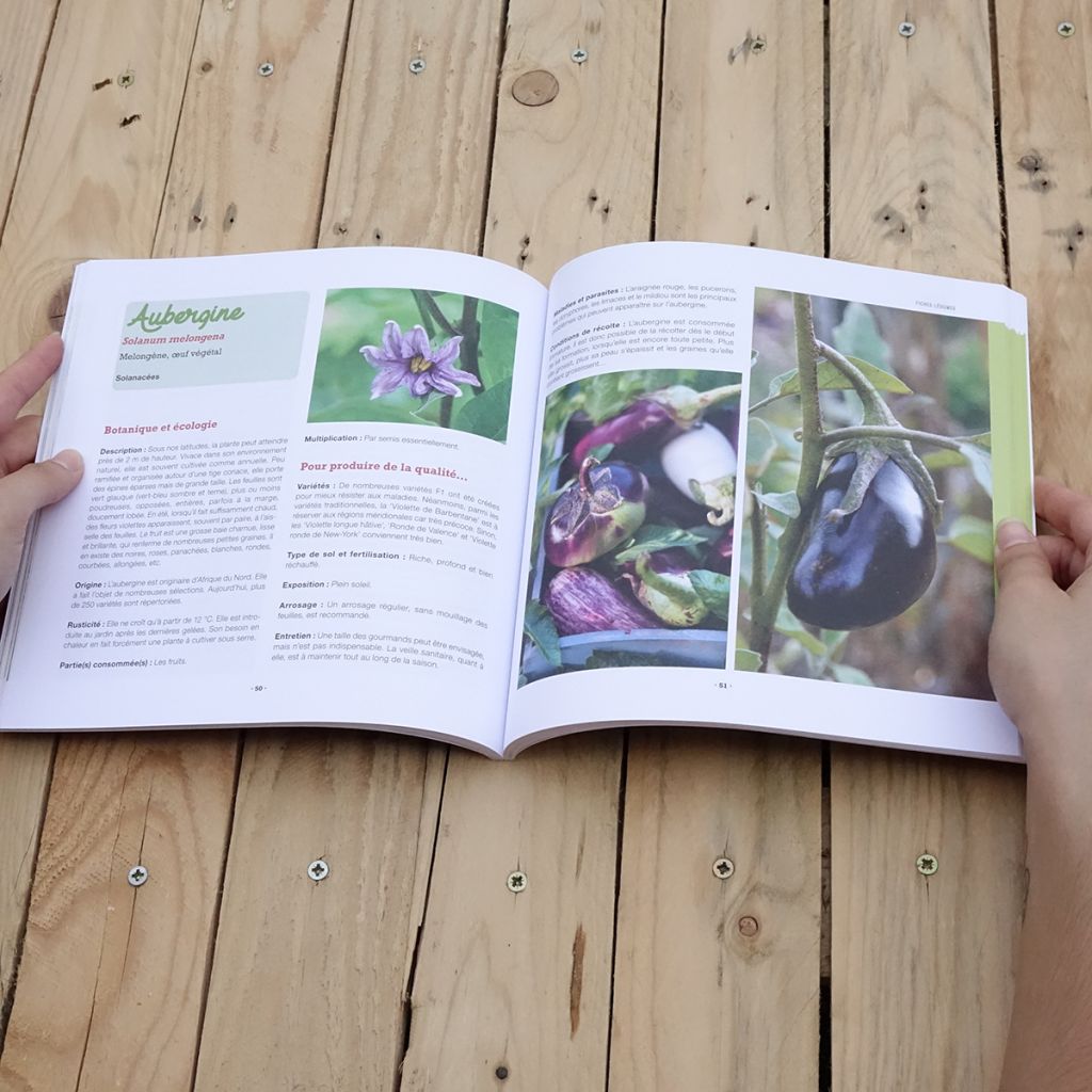 Mon potager riche en saveurs