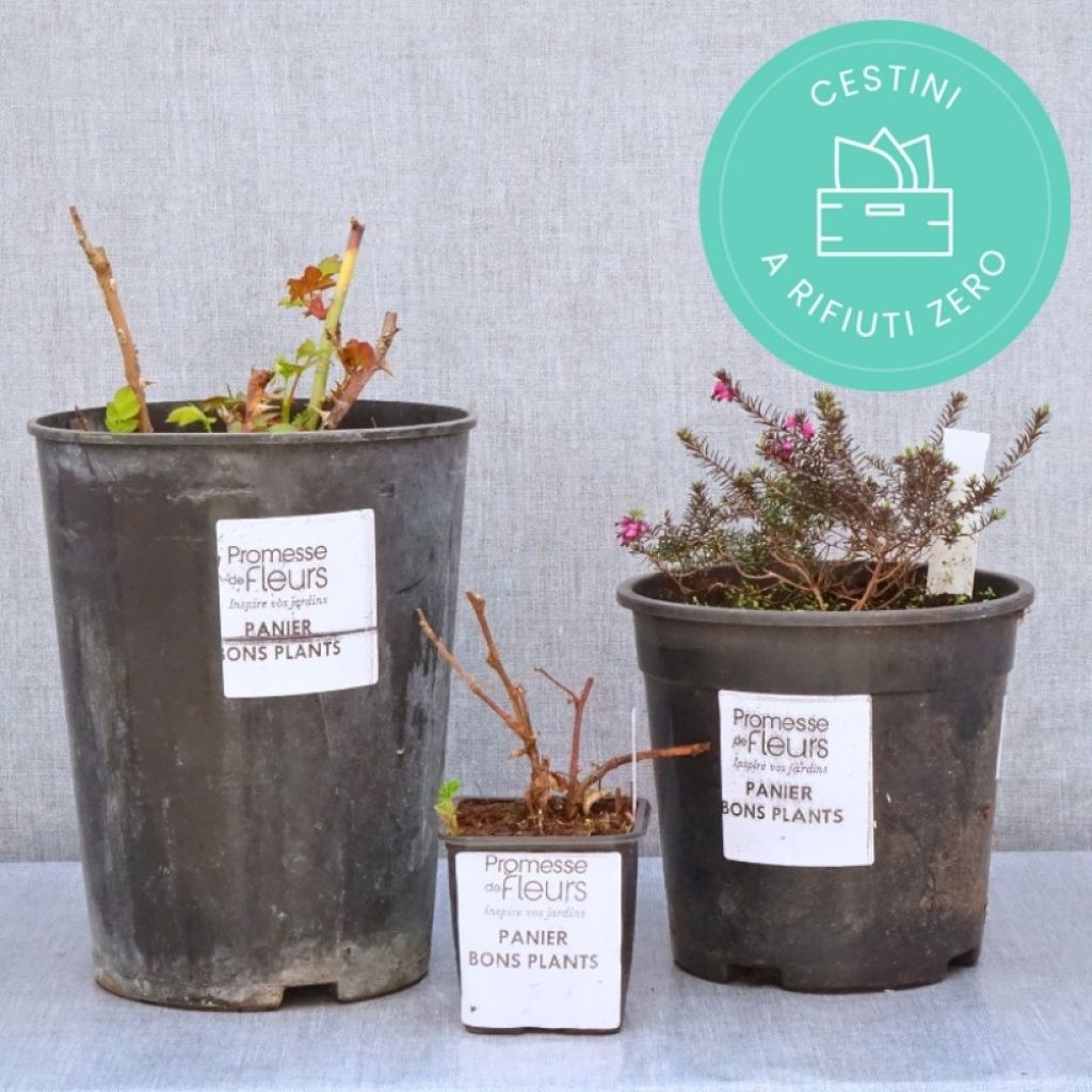 Cestini a rifiuti zero