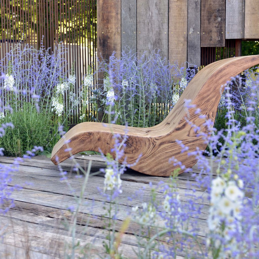 Perovskia atriplicifolia Blue Spire - Salvia russa