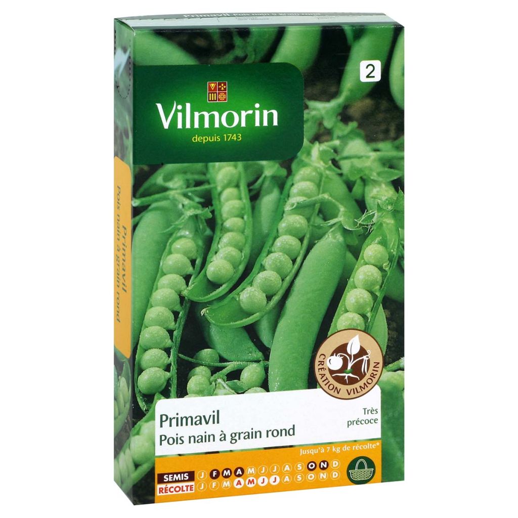 Pisello nano Primavil