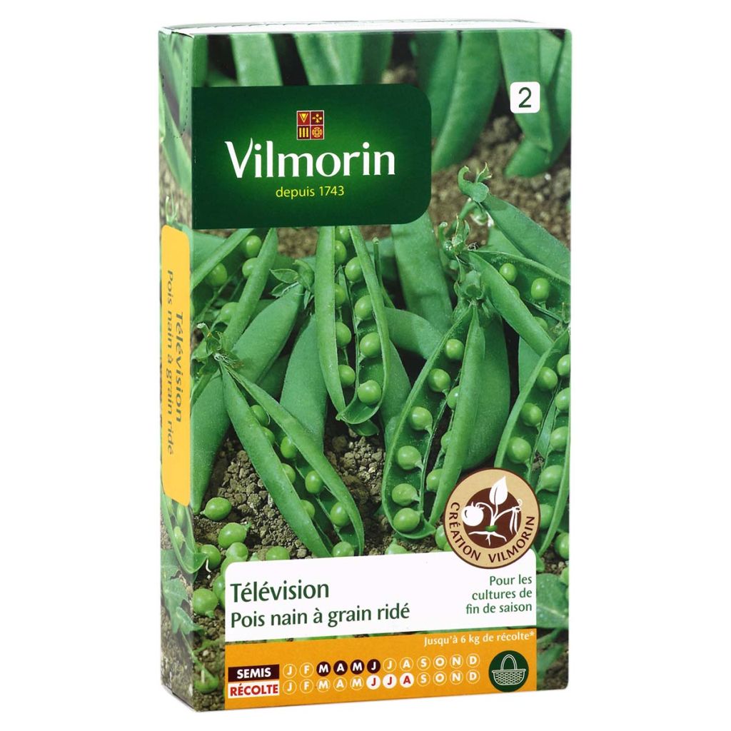 Pisello nano Télévision