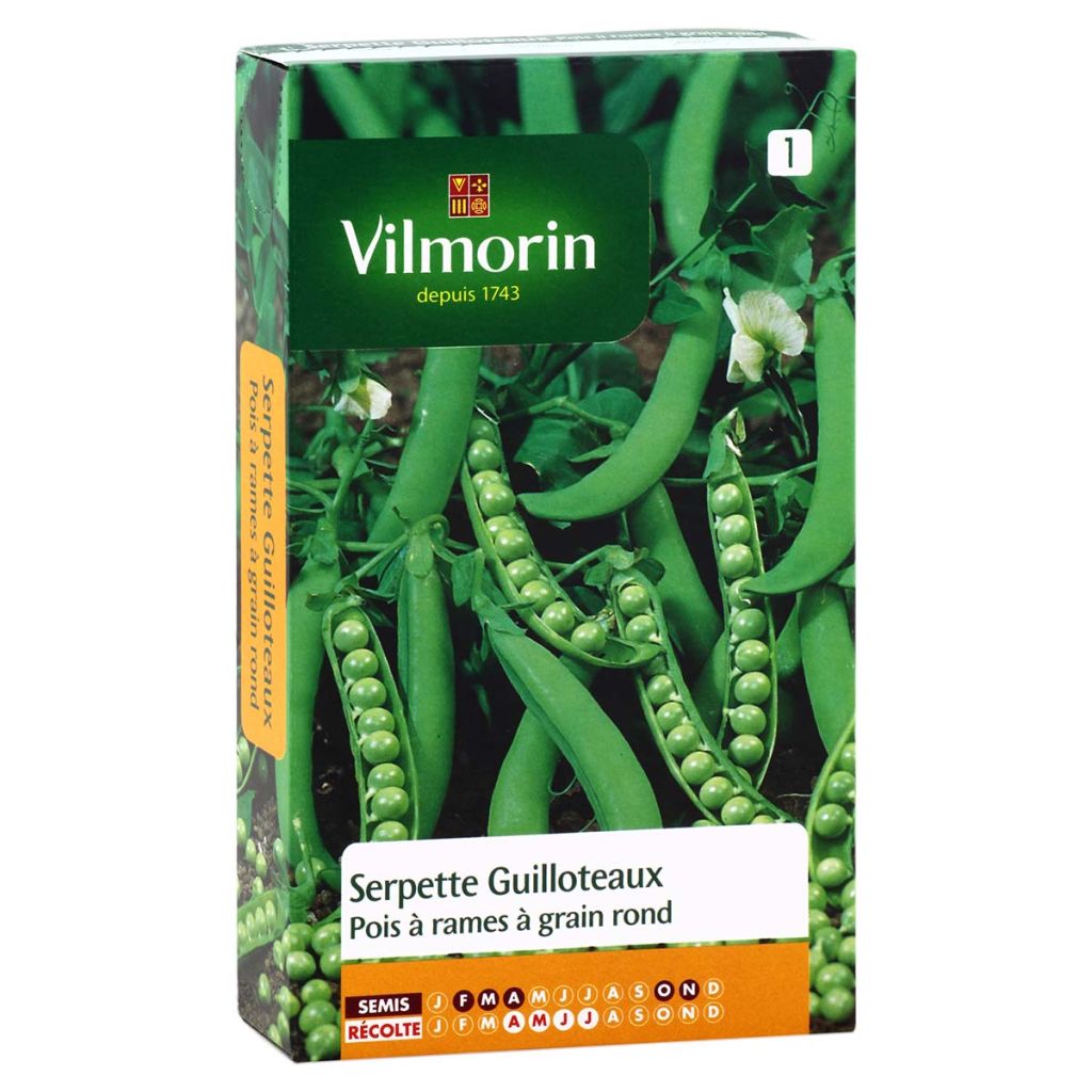 Pisello a grani rotondi rampicante Serpette Guilloteaux - Vilmorin
