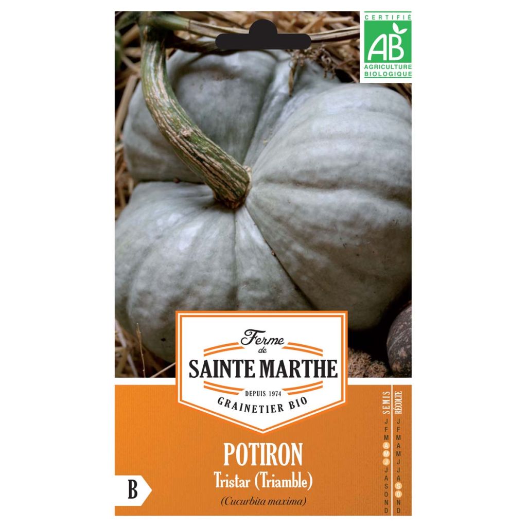 Zucca moscata Triamble