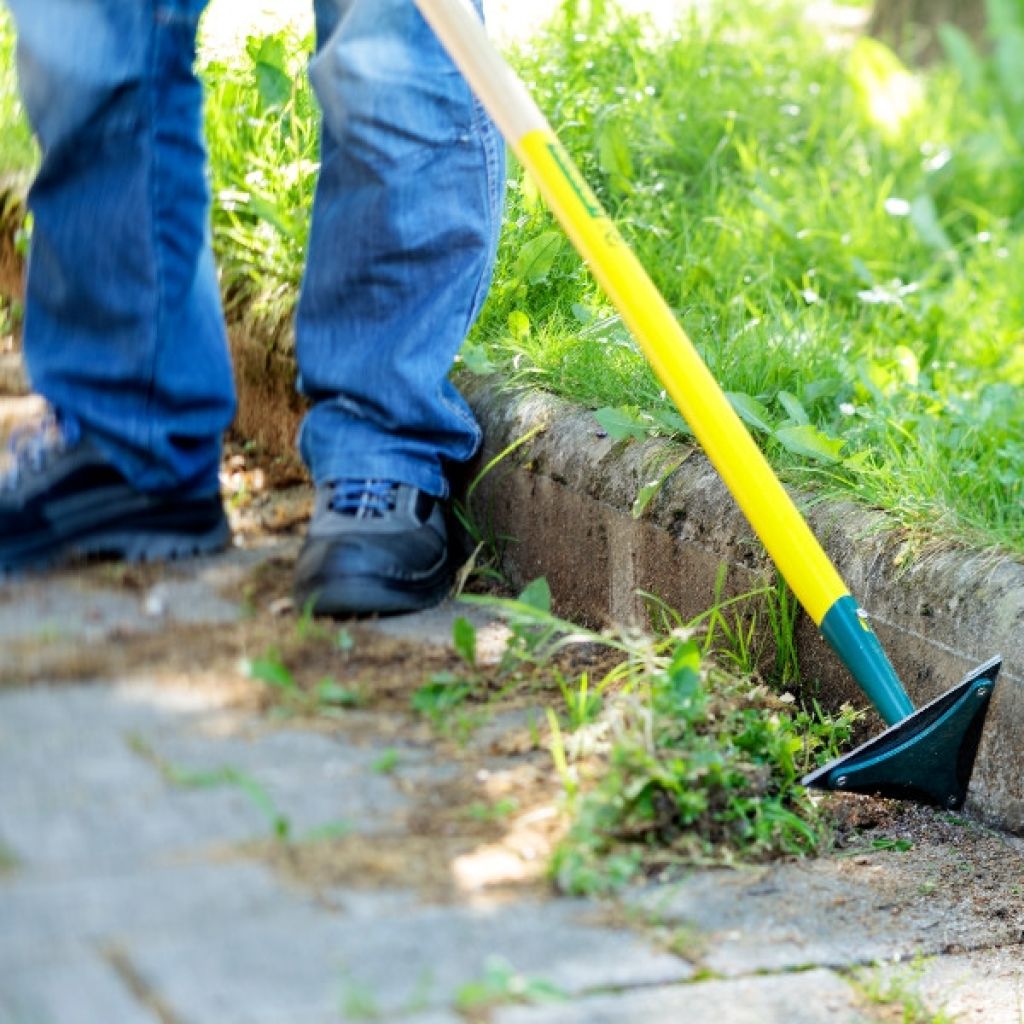 Raschia-bordi Leborgne NaturOvert