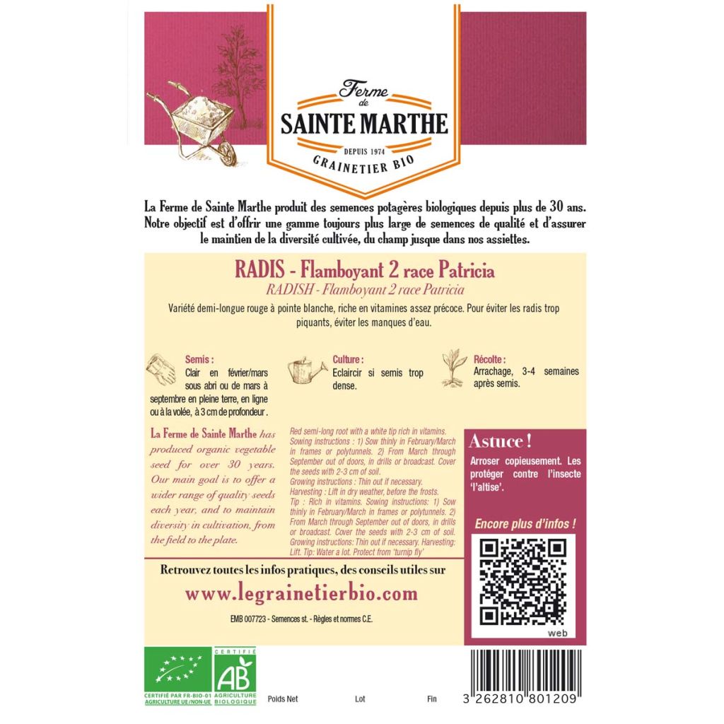 Ravanello Flamboyant 2 Race Patricia