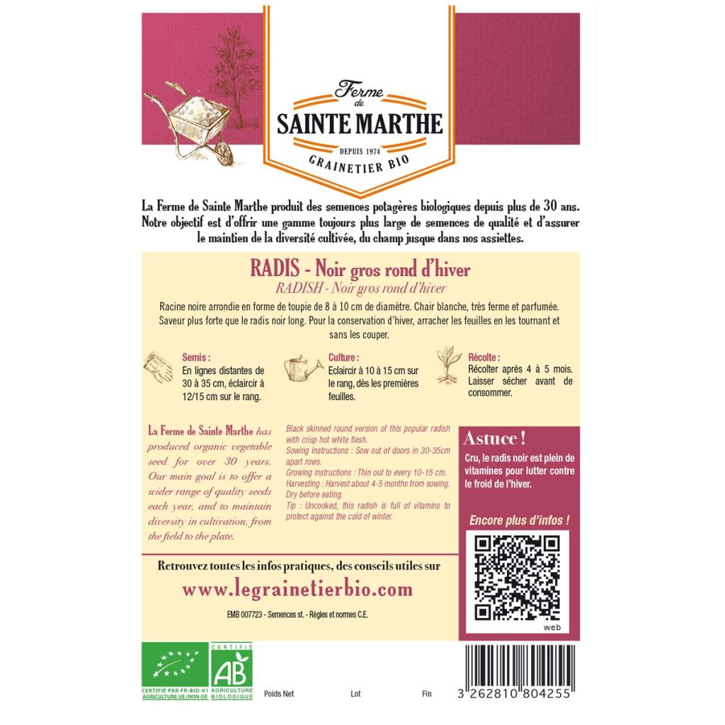 Ravanello Nero rapa tonda d'inverno Bio - Ferme de Sainte Marthe