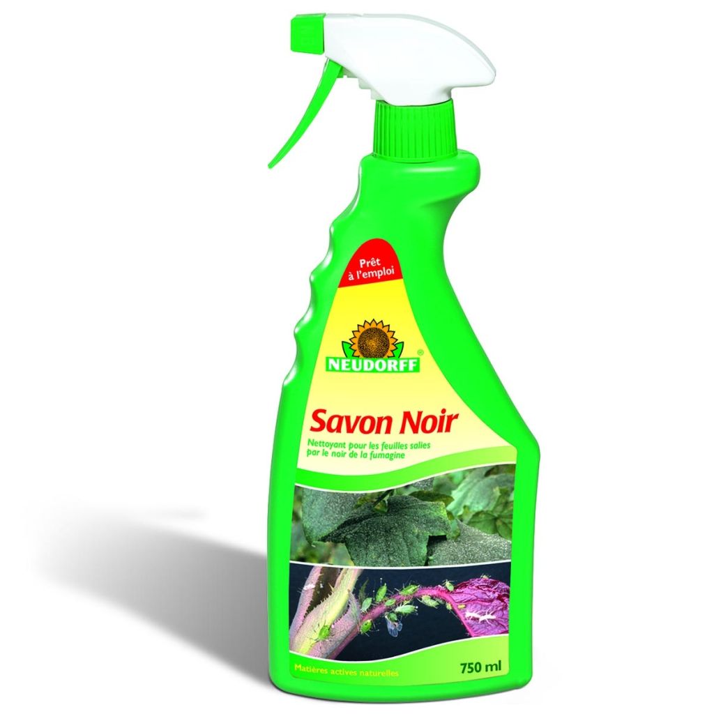 Sapone nero pronto all'uso 750 ml Neudorff