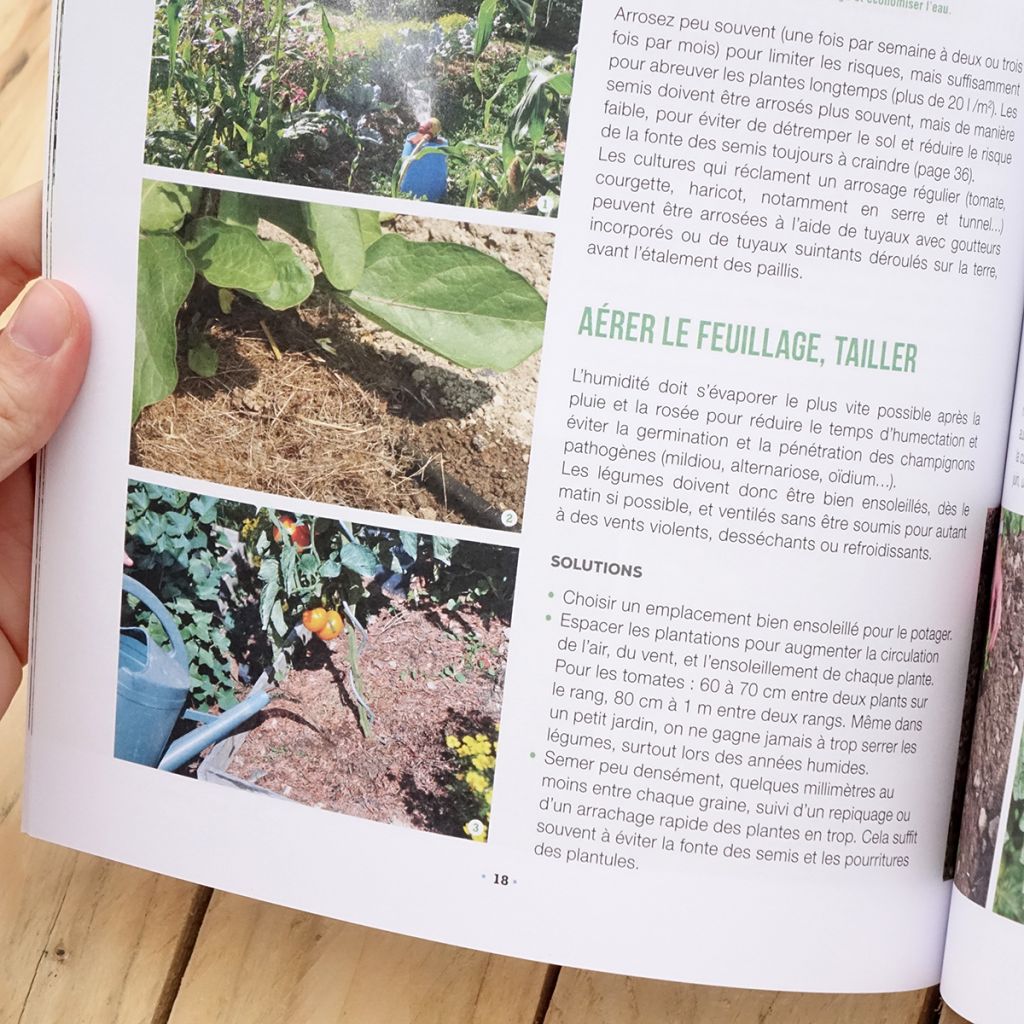 Stop aux maladies dans mon potager