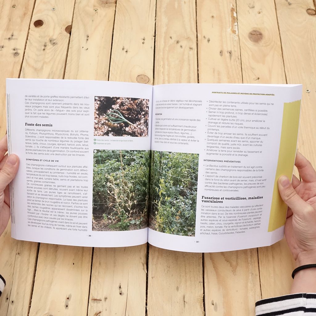 Stop aux maladies dans mon potager