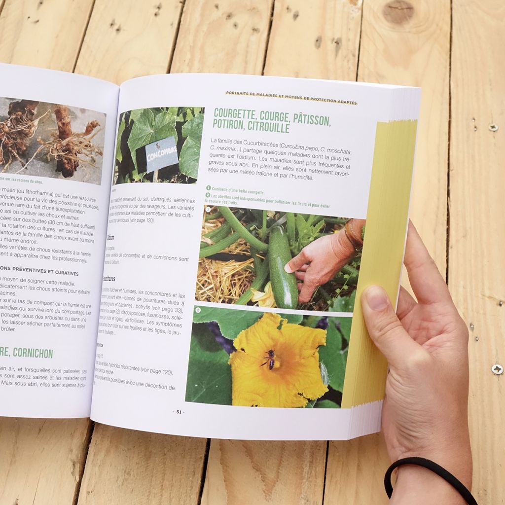 Stop aux maladies dans mon potager