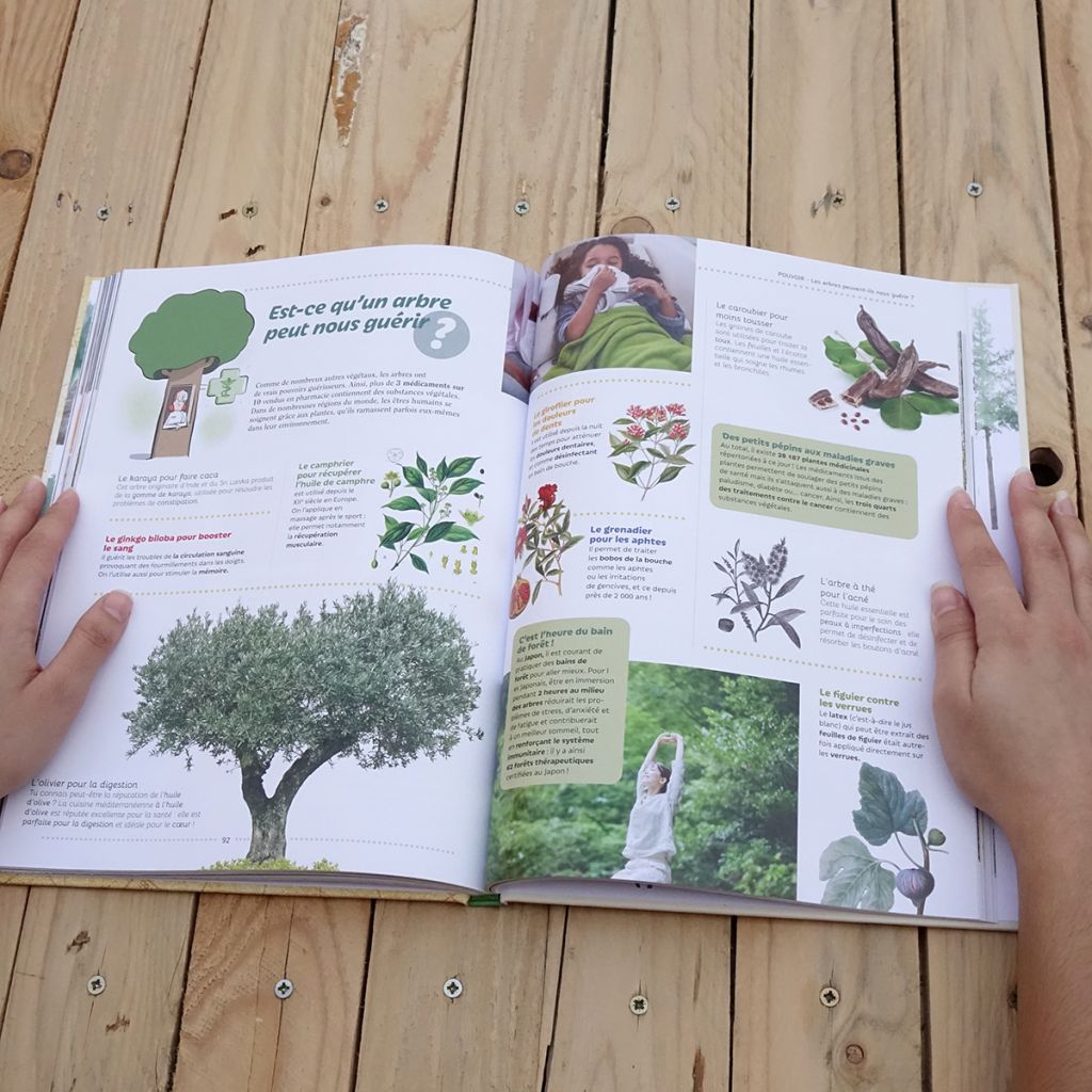 Tout, tout, tout sur les arbres