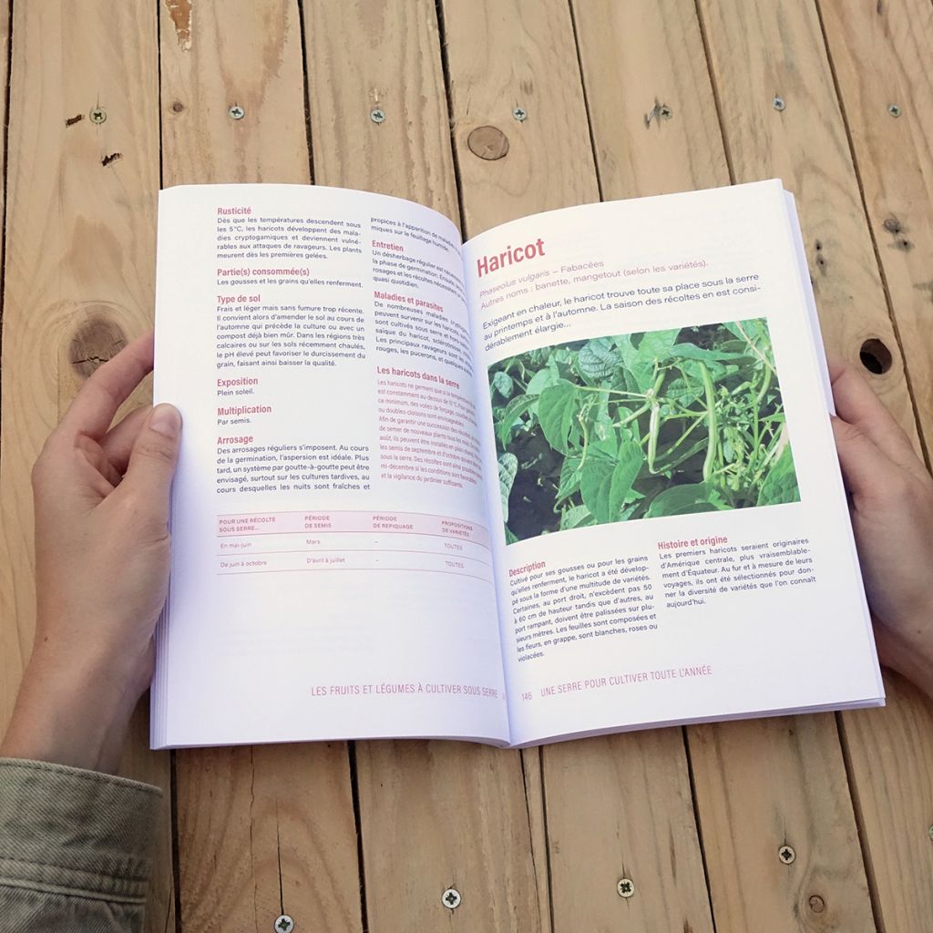 Une serre pour récolter toute l'année