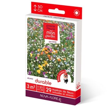 Mischia di semi Gnomi Duraturi