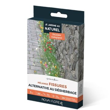 Mix di semi Crepature