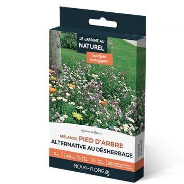 Mix di semi Pied d'arbre