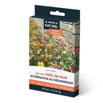 Mix di semi Piede di muro