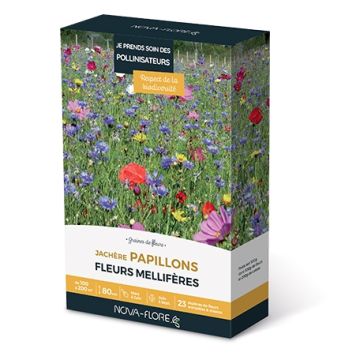 Prato delle Farfalle