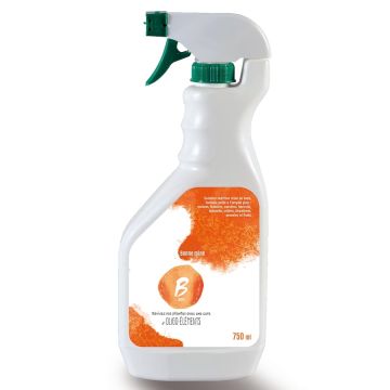 Anti carenziale Boro B in spray da 750 ml