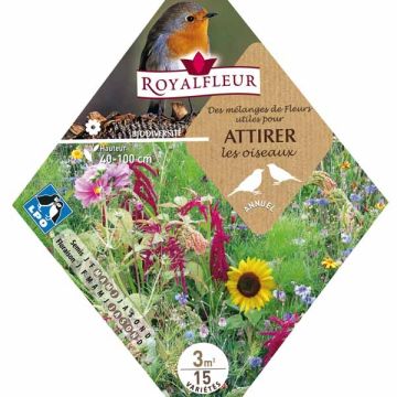 Mix per prenderti cura degli uccelli - Bustina 3 m2