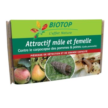 Combo attraente Carpocapsa maschile e femminile Biotop - 1 capsula