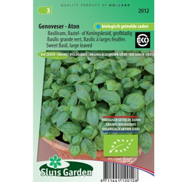 Basilico Gustosa Genoveser