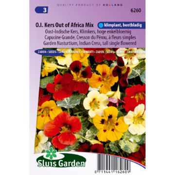 Nasturzio Out Of Africa