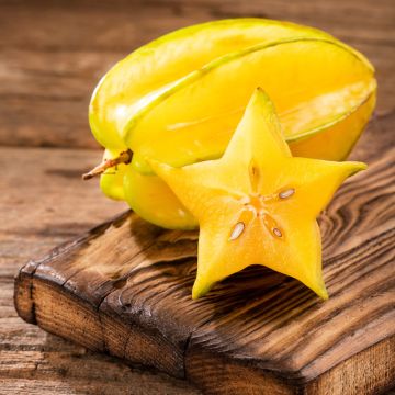 Carambola Arkin - Averrhoa carambola