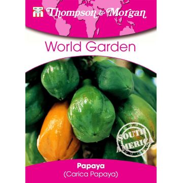 Carica papaya - Papaia (semi)