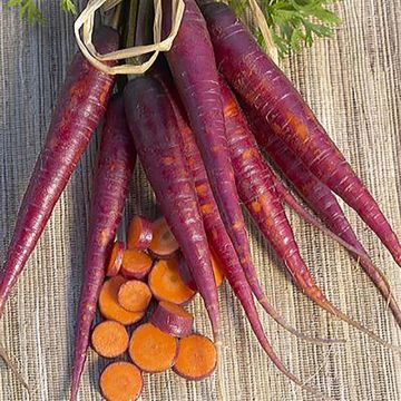 Carota Cosmic Purple Bio