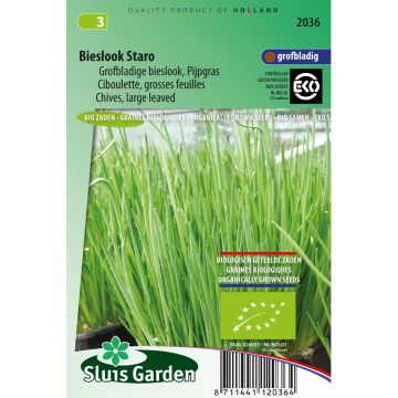 Erba cipollina Staro Bio