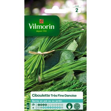 Erba cipollina - Vilmorin