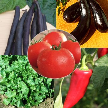 Collezione Cestino biologico - 5 bustine di semi AB